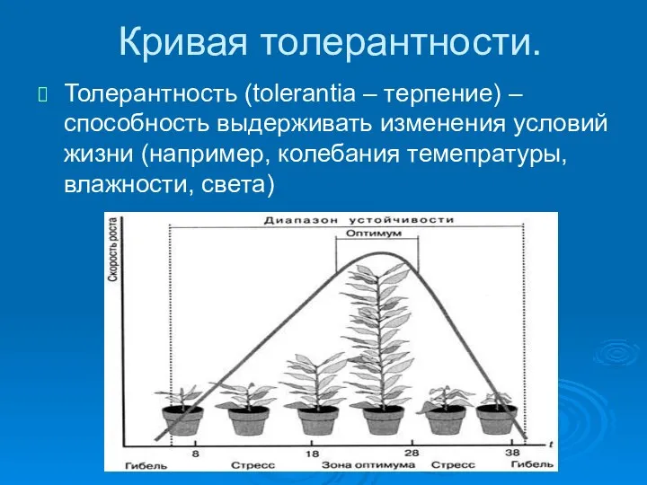 Кривая толерантности. Толерантность (tolerantia – терпение) – способность выдерживать изменения условий