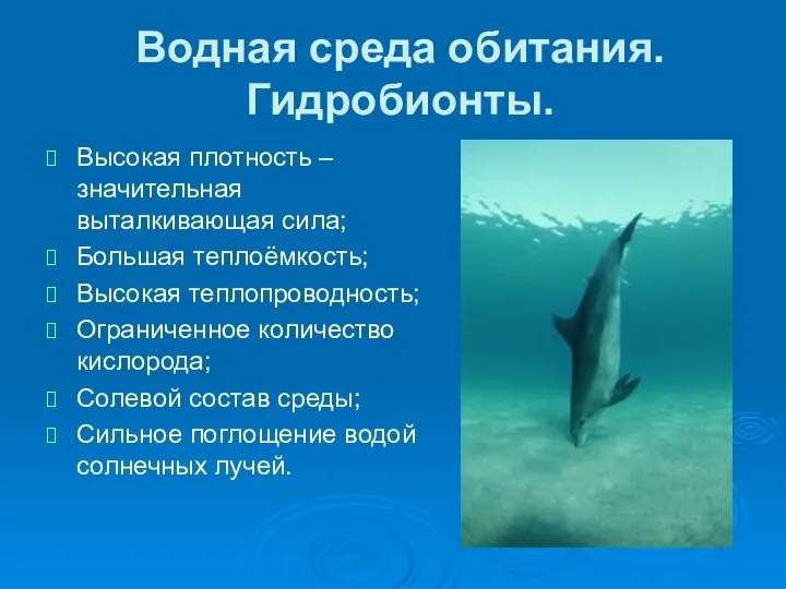 Водная среда обитания. Гидробионты. Высокая плотность – значительная выталкивающая сила; Большая