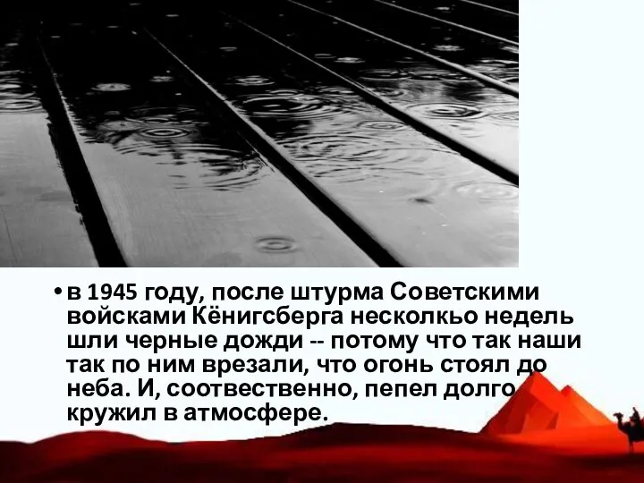 в 1945 году, после штурма Советскими войсками Кёнигсберга несколкьо недель шли