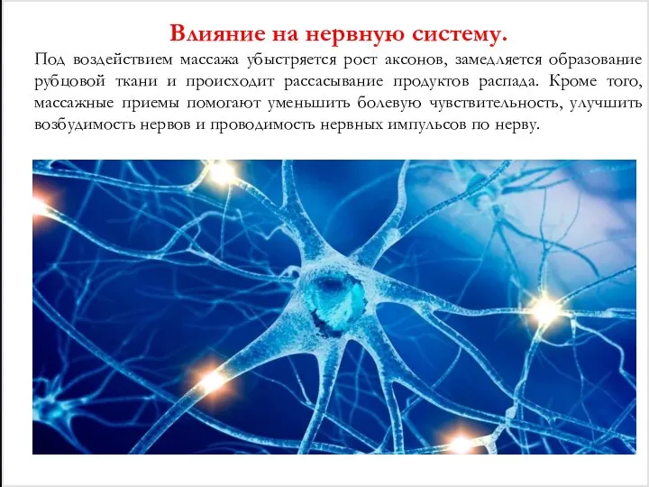 Влияние на нервную систему. Под воздействием массажа убыстряется рост аксонов, замедляется