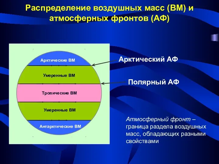 Арктические ВМ Умеренные ВМ Умеренные ВМ Антарктические ВМ Тропические ВМ Распределение