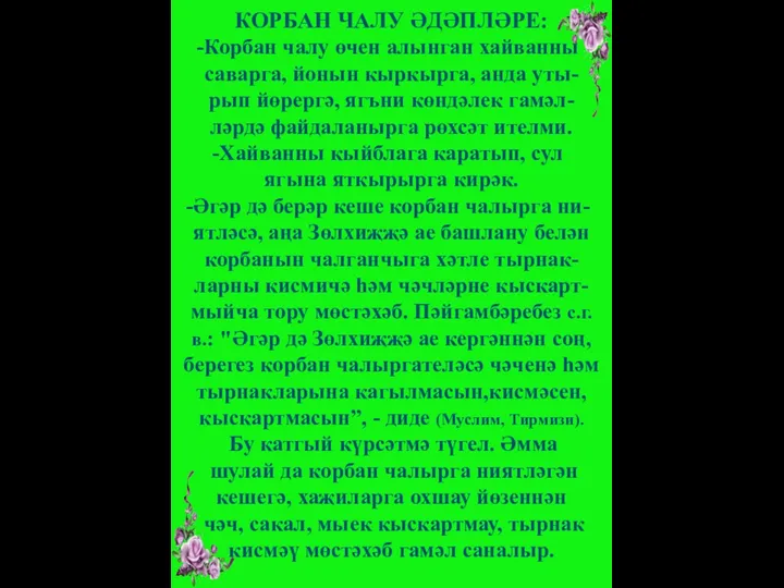 КОРБАН ЧАЛУ ӘДӘПЛӘРЕ: Корбан чалу өчен алынган хайванны саварга, йонын кыркырга,