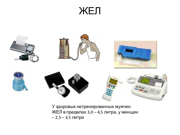 ЖЕЛ У здоровых нетренированных мужчин ЖЕЛ в пределах 3,0 – 4,5