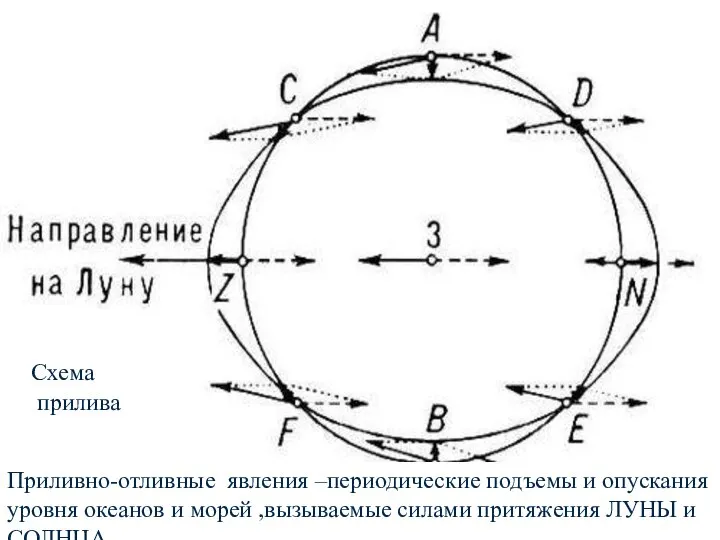 Схема Схема прилива Приливно-отливные явления –периодические подъемы и опускания уровня океанов