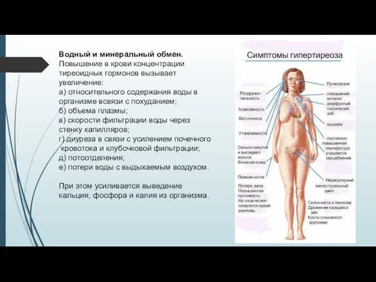 Водный и минеральный обмен. Повышение в крови концентрации тиреоидных гормонов вызывает