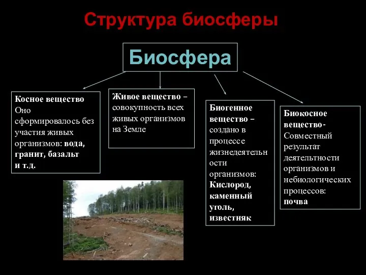 Структура биосферы Биосфера Косное вещество Оно сформировалось без участия живых организмов: