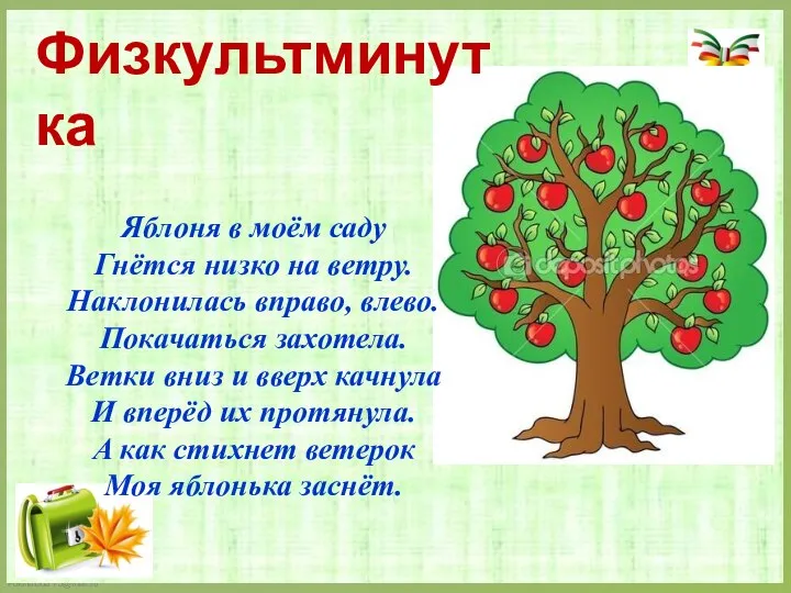 Физкультминутка Яблоня в моём саду Гнётся низко на ветру. Наклонилась вправо,