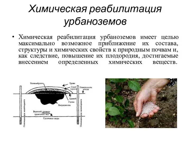 Химическая реабилитация урбаноземов Химическая реабилитация урбаноземов имеет целью максимально возможное приближение