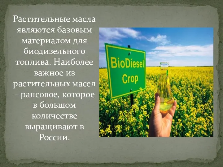 Растительные масла являются базовым материалом для биодизельного топлива. Наиболее важное из