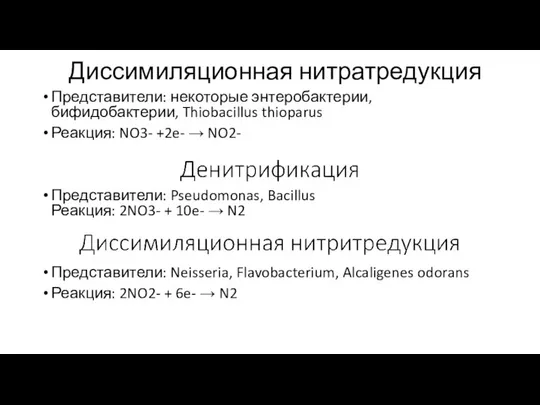 Диссимиляционная нитратредукция Представители: некоторые энтеробактерии, бифидобактерии, Thiobacillus thioparus Реакция: NO3- +2e-