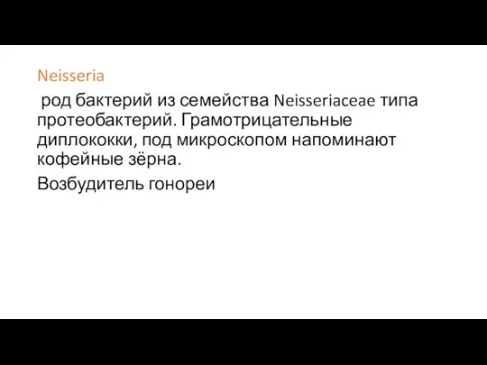 Neisseria род бактерий из семейства Neisseriaceae типа протеобактерий. Грамотрицательные диплококки, под