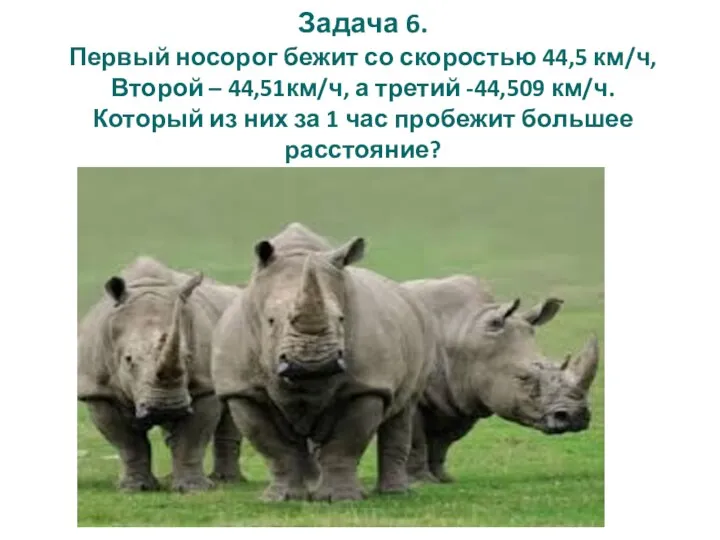 Задача 6. Первый носорог бежит со скоростью 44,5 км/ч, Второй –