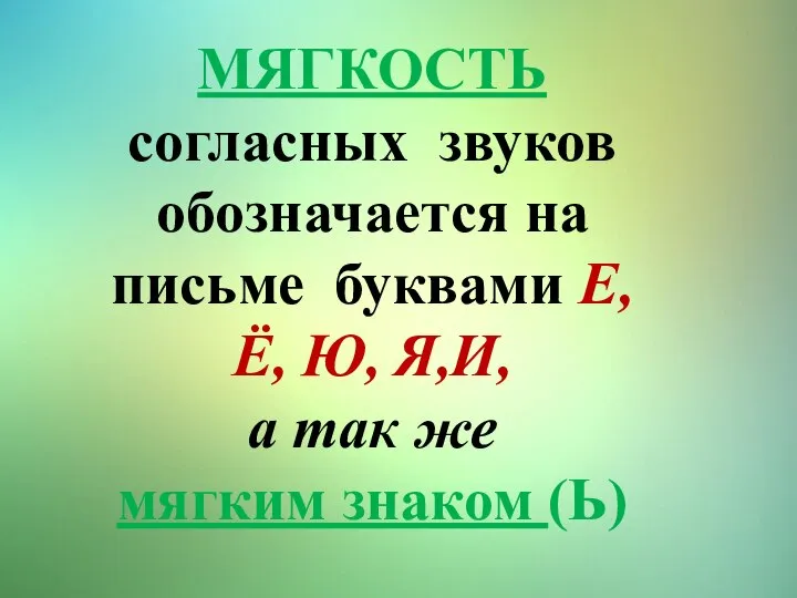 МЯГКОСТЬ согласных звуков обозначается на письме буквами Е, Ё, Ю, Я,И,