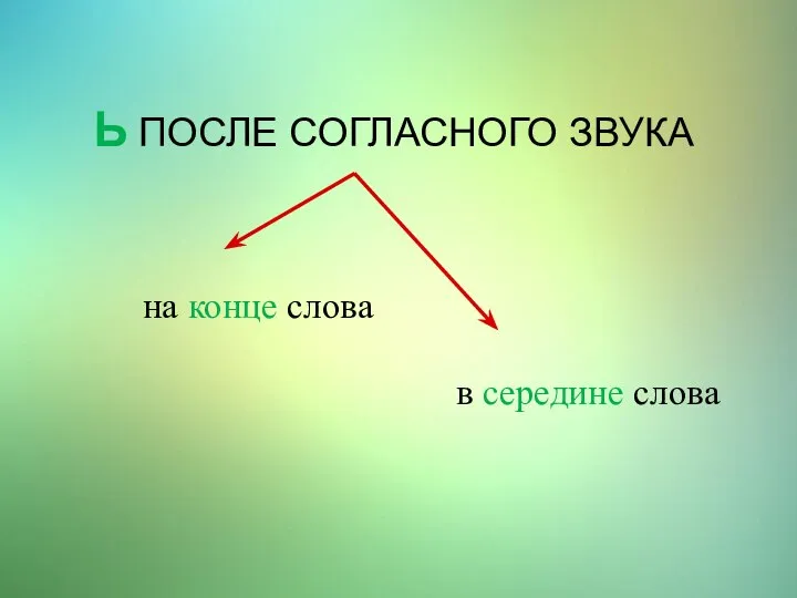 Ь ПОСЛЕ СОГЛАСНОГО ЗВУКА на конце слова в середине слова