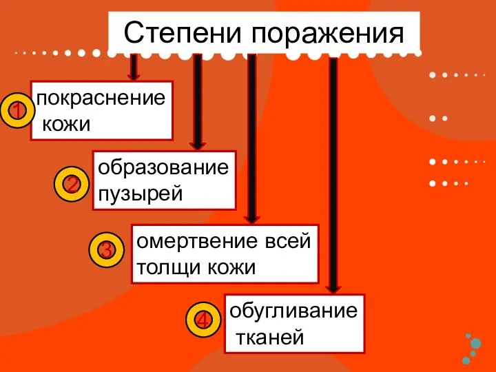 Степени поражения покраснение кожи образование пузырей омертвение всей толщи кожи обугливание тканей 1 2 3 4