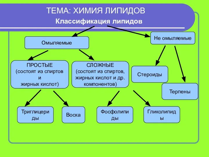 ТЕМА: ХИМИЯ ЛИПИДОВ Классификация липидов Стероиды ПРОСТЫЕ (состоят из спиртов и