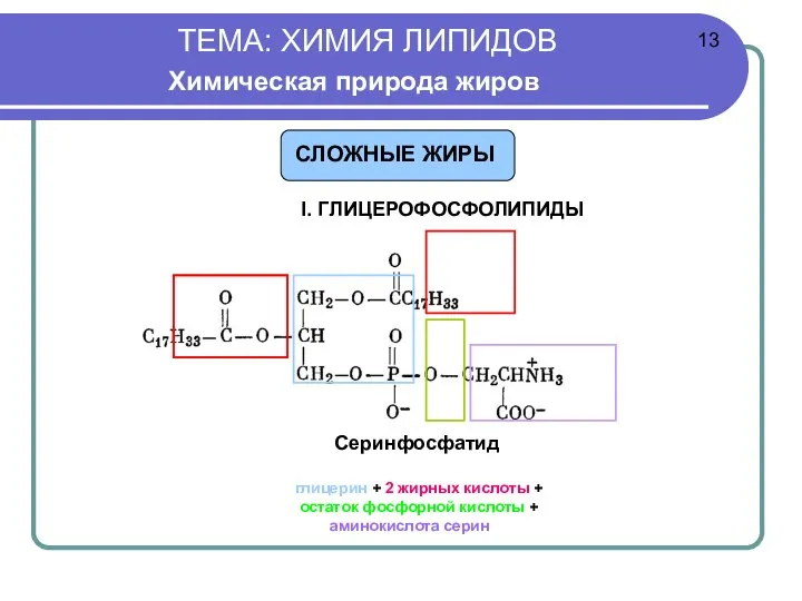 ТЕМА: ХИМИЯ ЛИПИДОВ Химическая природа жиров I. ГЛИЦЕРОФОСФОЛИПИДЫ Серинфосфатид глицерин +