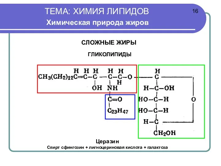 ТЕМА: ХИМИЯ ЛИПИДОВ Химическая природа жиров СЛОЖНЫЕ ЖИРЫ ГЛИКОЛИПИДЫ Церазин Спирт