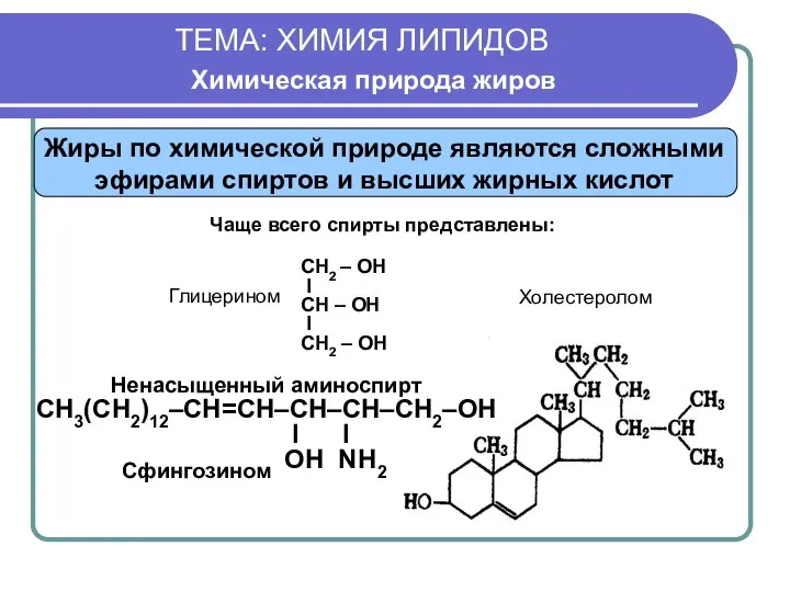 ТЕМА: ХИМИЯ ЛИПИДОВ Химическая природа жиров Чаще всего спирты представлены: Ненасыщенный