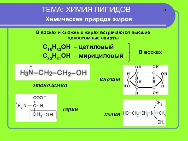 ТЕМА: ХИМИЯ ЛИПИДОВ Химическая природа жиров В восках и сложных жирах