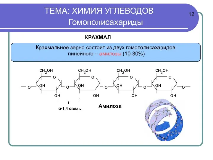 ТЕМА: ХИМИЯ УГЛЕВОДОВ Гомополисахариды α-1,4 связь КРАХМАЛ Амилоза 12