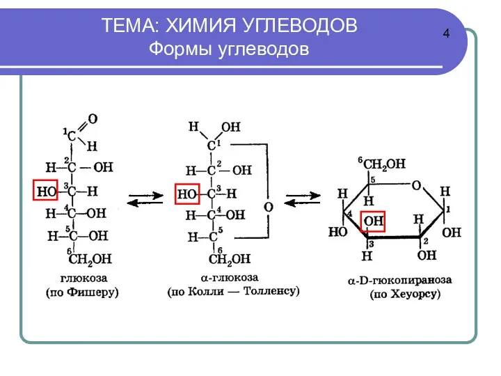 ТЕМА: ХИМИЯ УГЛЕВОДОВ Формы углеводов 4