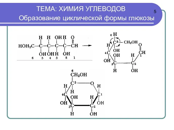 ТЕМА: ХИМИЯ УГЛЕВОДОВ Образование циклической формы глюкозы 5