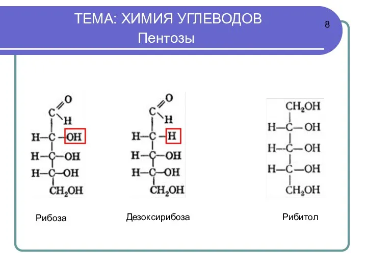 ТЕМА: ХИМИЯ УГЛЕВОДОВ Пентозы 8