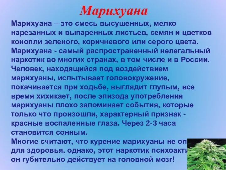 Марихуана Марихуана – это смесь высушенных, мелко нарезанных и выпаренных листьев,