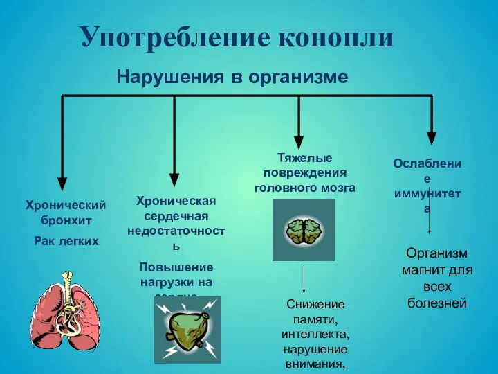 Употребление конопли Хронический бронхит Рак легких Хроническая сердечная недостаточность Повышение нагрузки