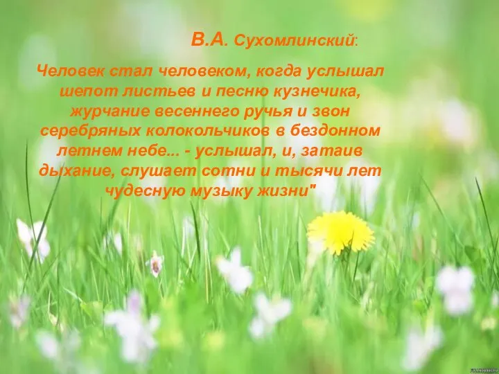 В.А. Сухомлинский: Человек стал человеком, когда услышал шепот листьев и песню