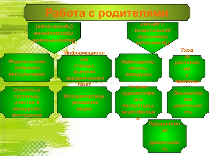 Работа с родителями Экологическое просвещение (пропаганда) Организация совместной деятельности с детьми