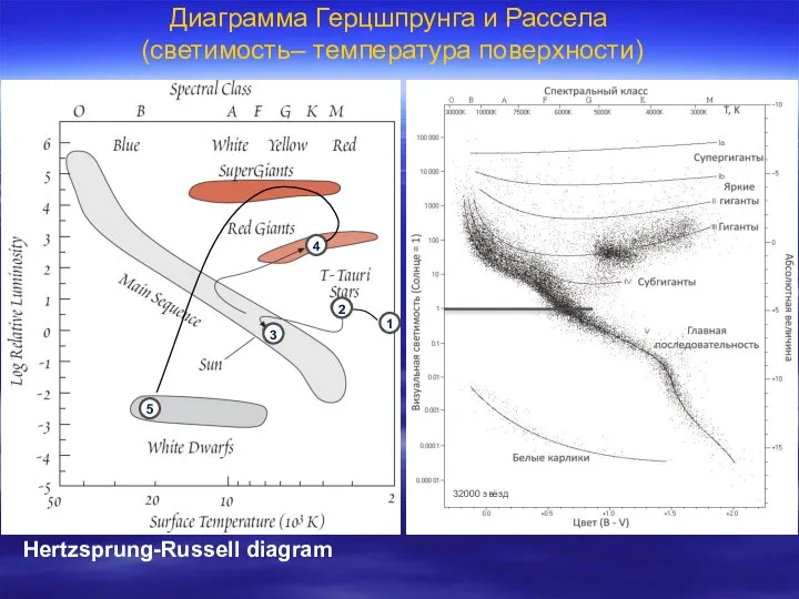 Hertzsprung-Russell diagram Диаграмма Герцшпрунга и Рассела (светимость– температура поверхности) 32000 звёзд