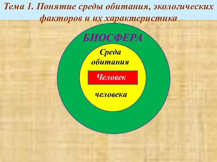 Среда обитания человека Человек БИОСФЕРА Тема 1. Понятие среды обитания, экологических факторов и их характеристика