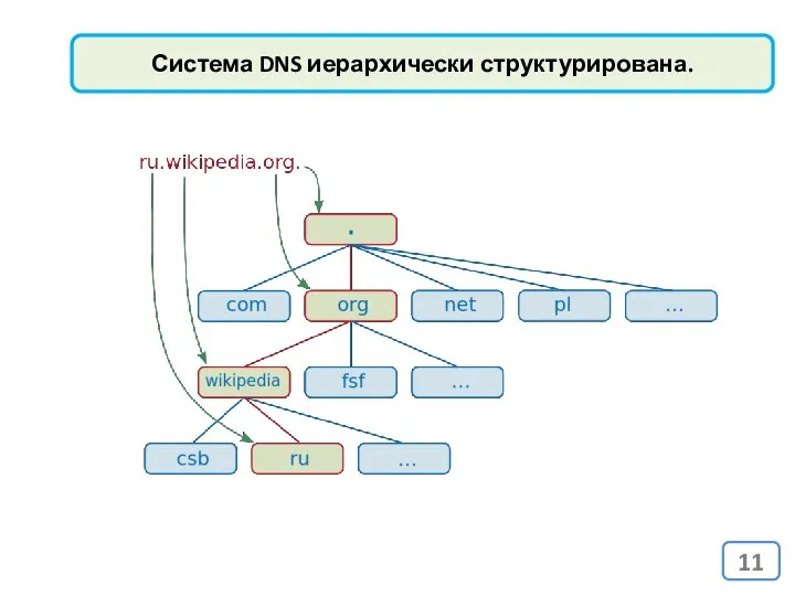 Система DNS иерархически структурирована.