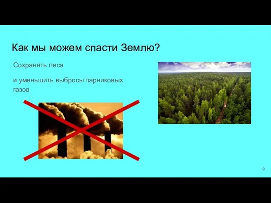 Как мы можем спасти Землю? Сохранять леса и уменьшить выбросы парниковых газов