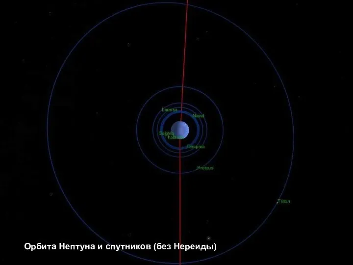 Орбита Нептуна и спутников (без Нереиды)