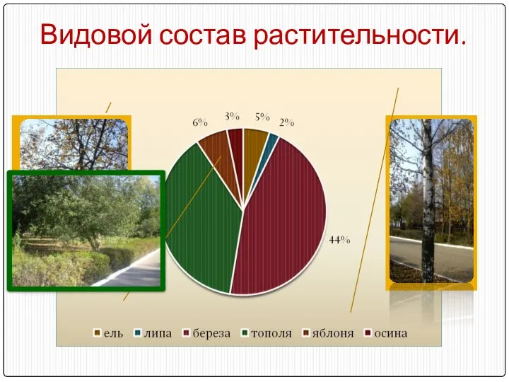 Видовой состав растительности.