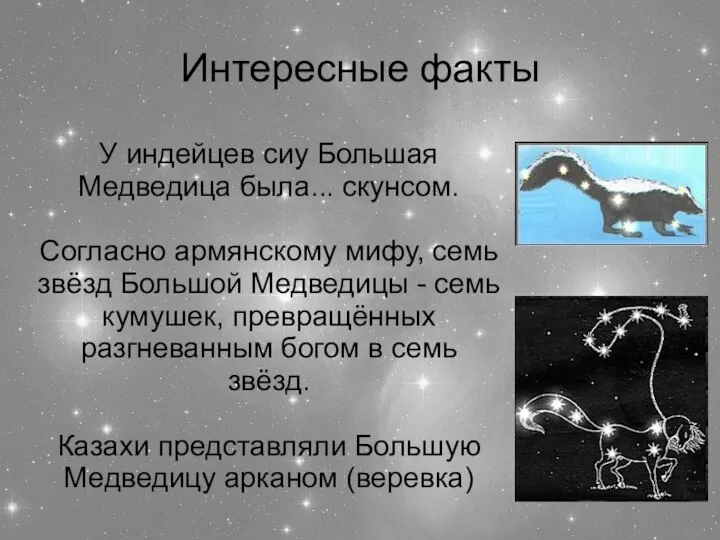 Интересные факты У индейцев сиу Большая Медведица была... скунсом. Согласно армянскому