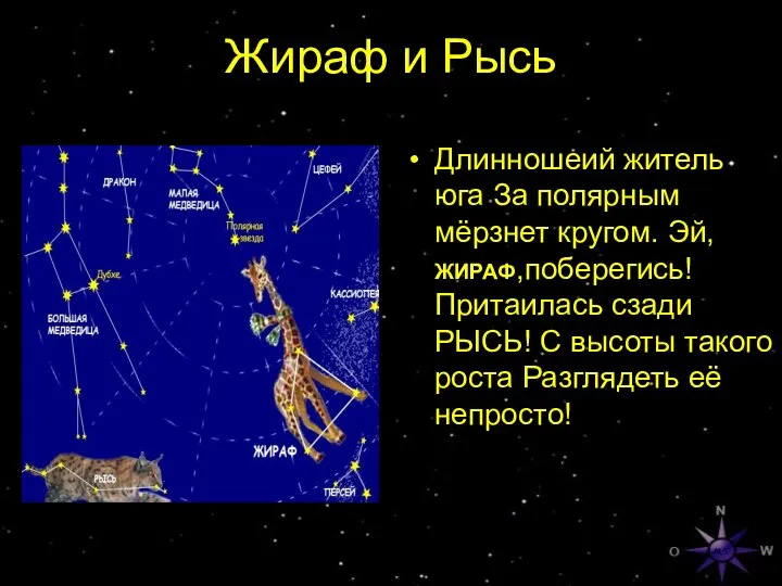 Жираф и Рысь Длинношеий житель юга За полярным мёрзнет кругом. Эй,ЖИРАФ,поберегись!