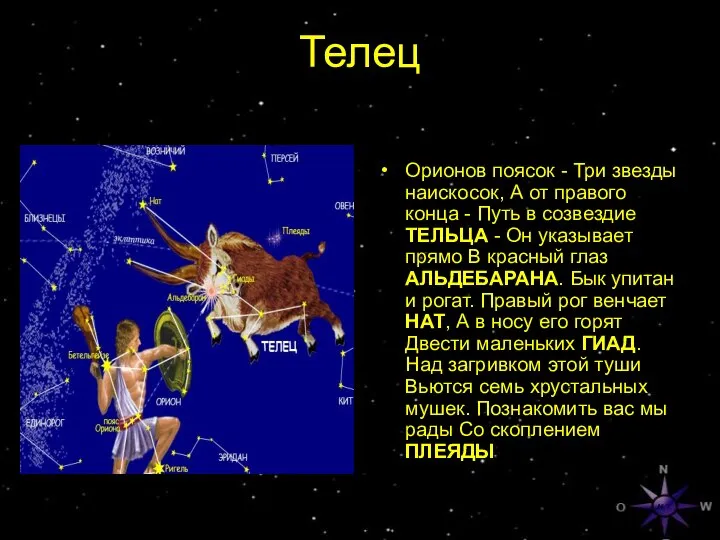 Телец Орионов поясок - Три звезды наискосок, А от правого конца