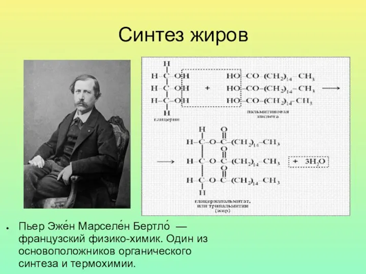 Синтез жиров Пьер Эже́н Марселе́н Бертло́ — французский физико-химик. Один из основоположников органического синтеза и термохимии.