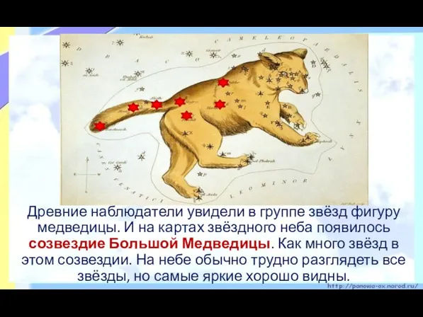 Древние наблюдатели увидели в группе звёзд фигуру медведицы. И на картах