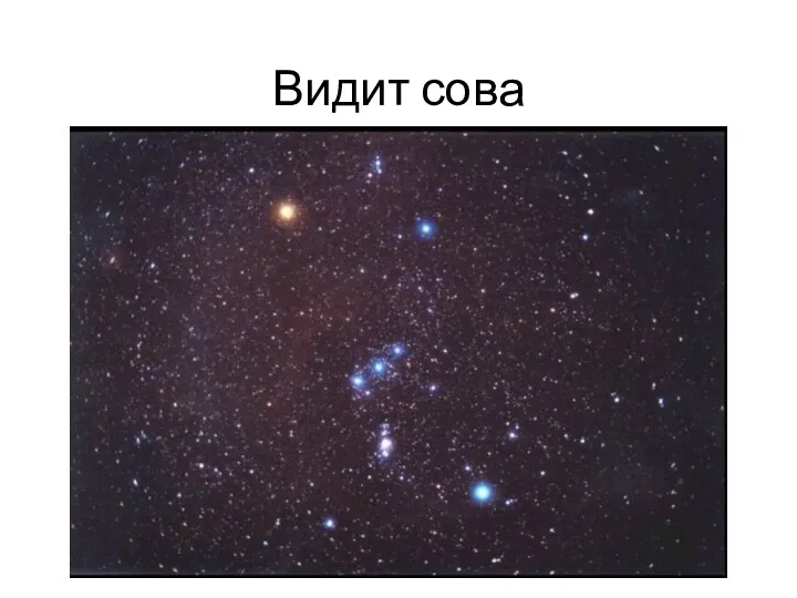 Видит сова