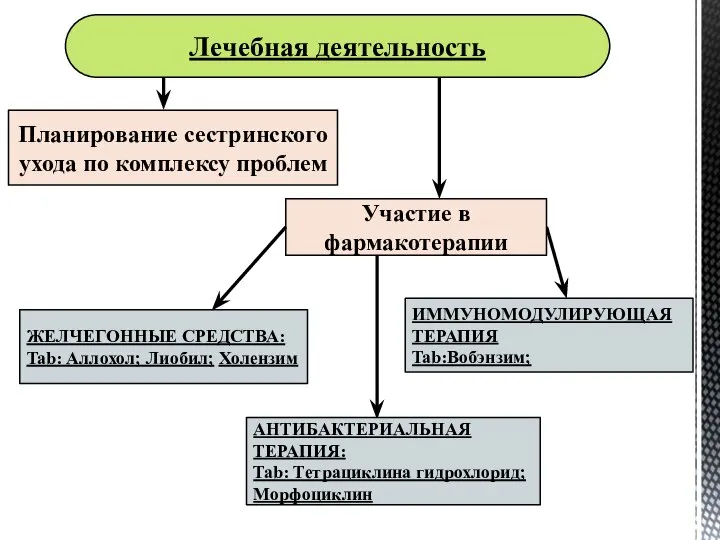 Лечебная деятельность Планирование сестринского ухода по комплексу проблем Участие в фармакотерапии