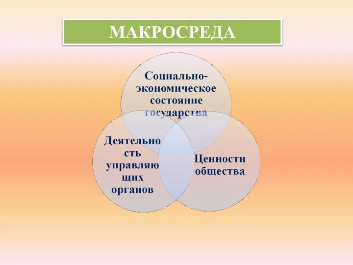 МАКРОСРЕДА