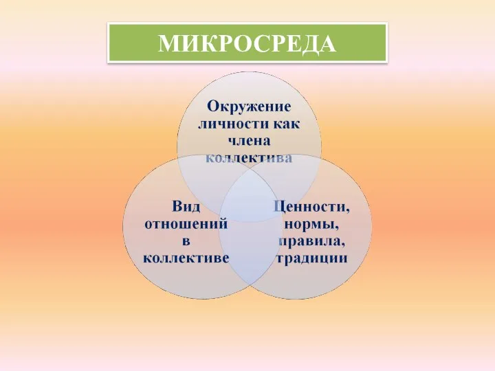 МИКРОСРЕДА