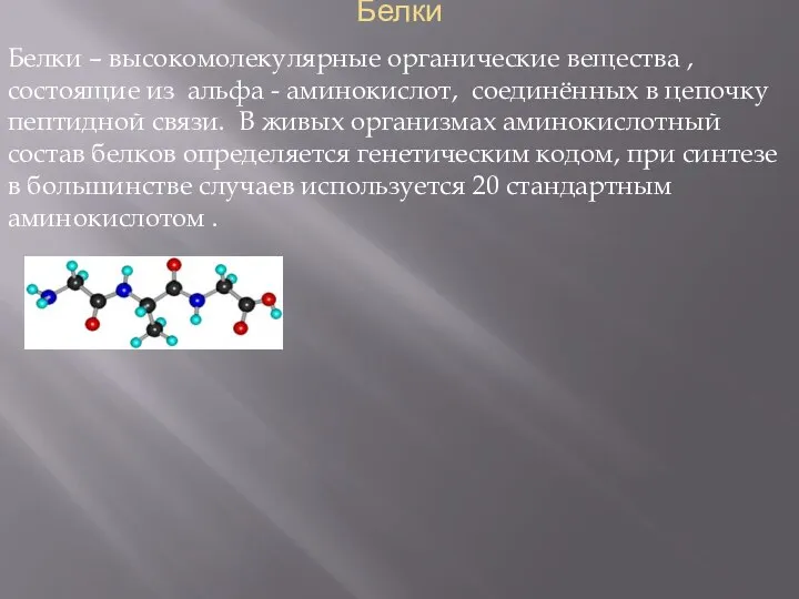 Белки Белки – высокомолекулярные органические вещества , состоящие из альфа -