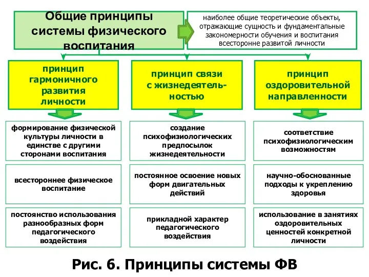 Рис. 6. Принципы системы ФВ Общие принципы системы физического воспитания принцип