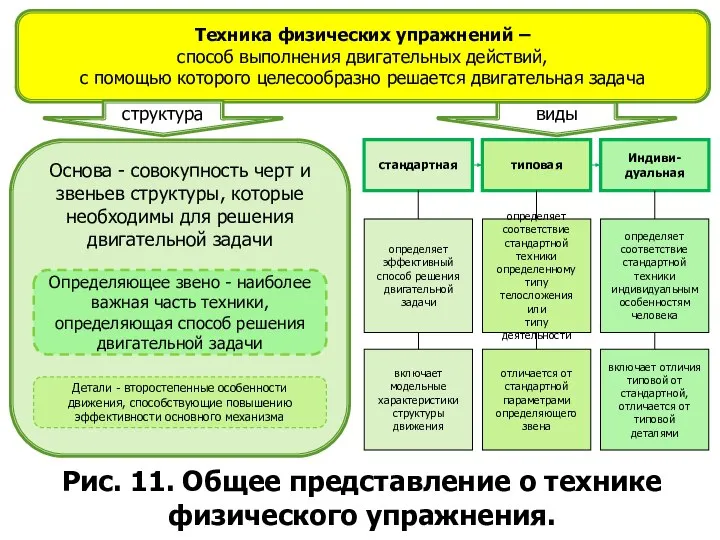 Рис. 11. Общее представление о технике физического упражнения. стандартная типовая Индиви-